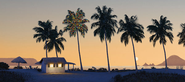 Fiesta Navidad