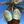 Pair of sandals held up with a palm tree and blue sky in the background